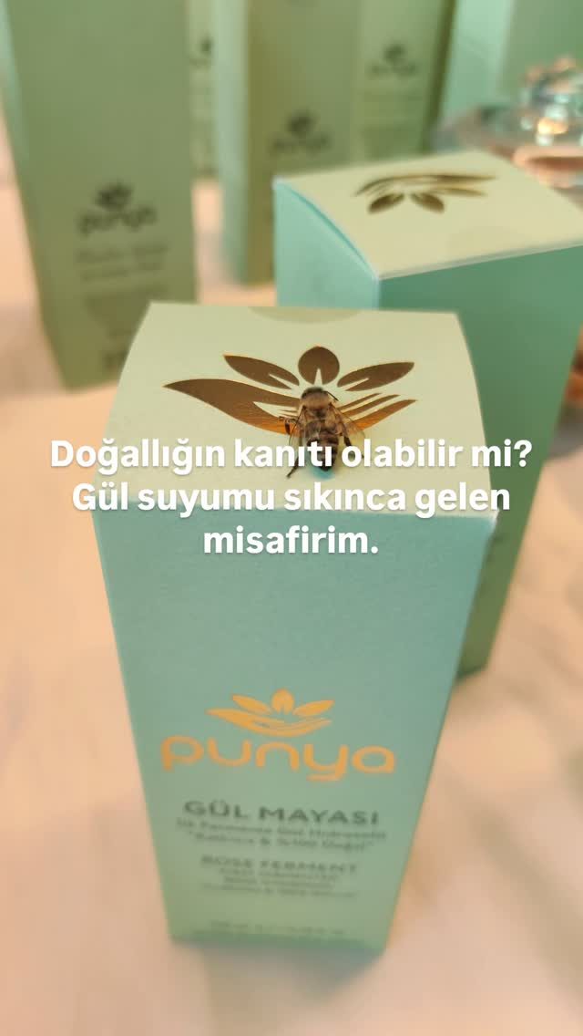 Instagram post from punyacare. This post is in position 6.